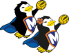 Montgeron water-polo